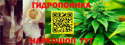 гидропоника Свободный