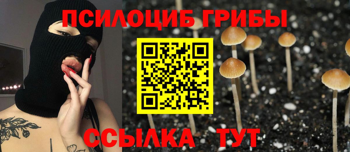 Светлоград  Псилоцибиновые грибы прущие грибы  Вход с VPN  Галлюциногенные грибы MAGIC MUSHROOMS 